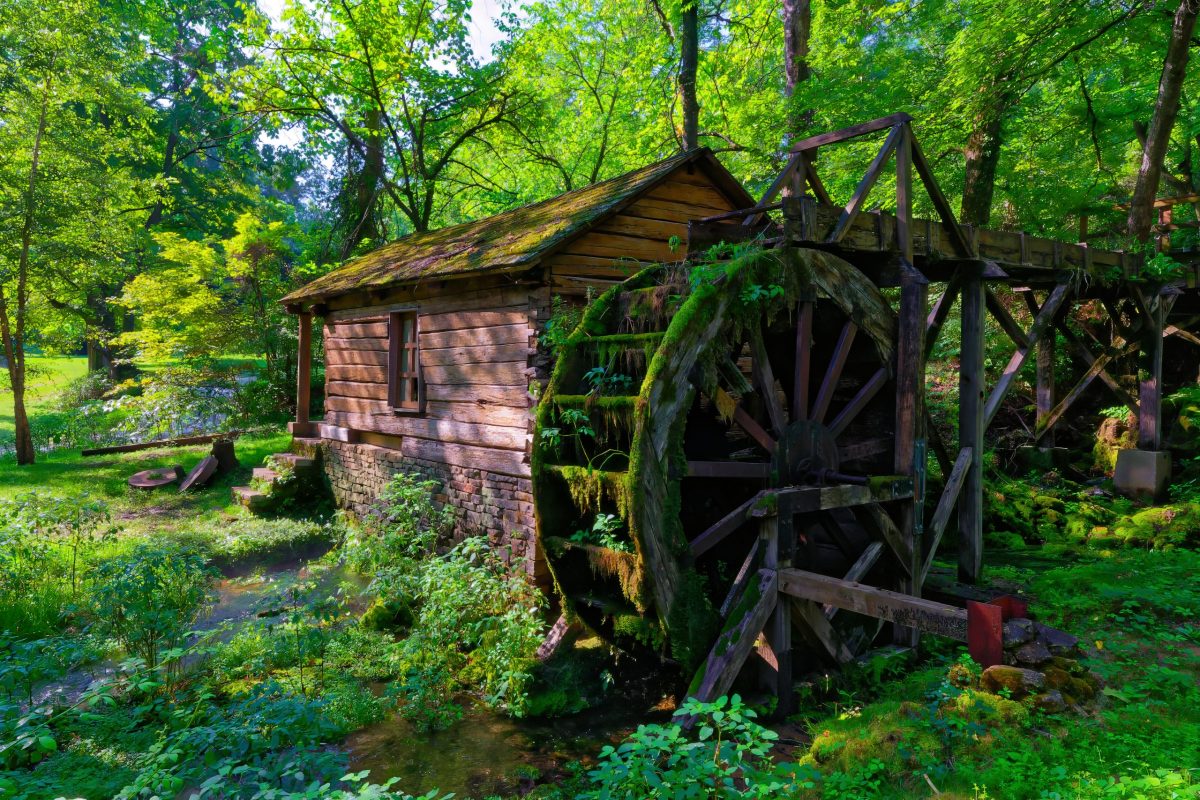 Reed Springs Mill Centerville MO