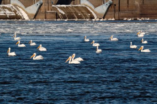 Winfield Dam in Winter