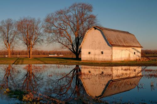 Days Gone By