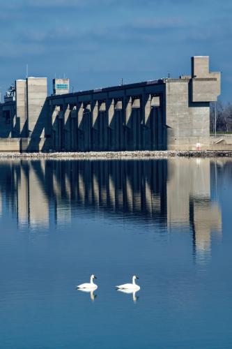 Reflections of the Riverlands