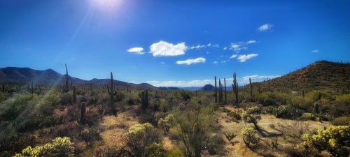 20230223_152057_Nik-DeNoiseAI-standard_Nik_DxO