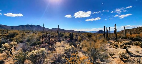 20230223_152115_Nik-DeNoiseAI-standard_DxO-DeNoiseAI-standard_Nik_DxO