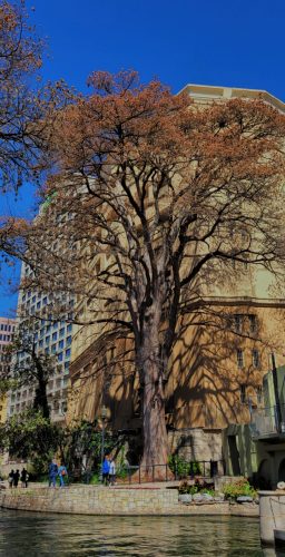 20240309_135026_Nik_DxO