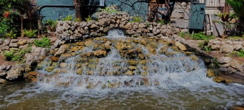 20240309_135340_Nik_DxO_DxO