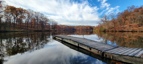 20251113_094540_Nik_DxO