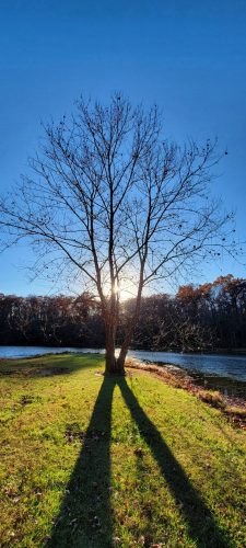 20251113_152509_Nik_DxO