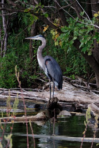 A Day at the Riverlands