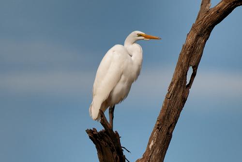 DSC_4144_Nik_Nik_DxO