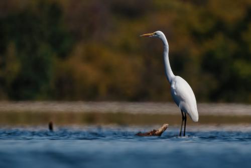 Takeoff!
