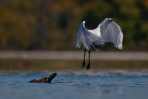 Takeoff!