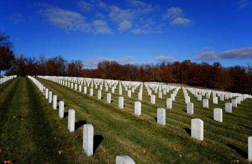 Diagonal Lines of Headstones 11252021