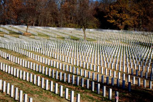 Lines of Headstones 11252021