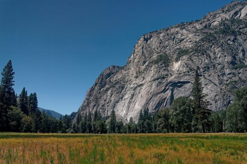 The Grandeur of Yosemite