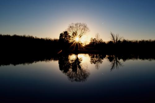 Star Burst Sunset