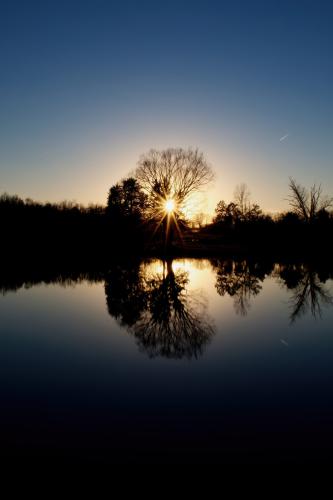 Star Burst Sunset