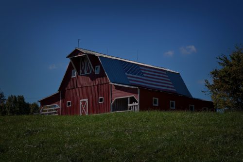 Z5E_0066-NEF_DxO_DeepPRIME_Nik-DeNoiseAI-standard_Nik_Nik_DxO