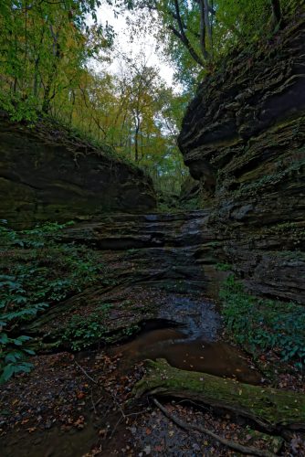 Z5E_0093-NEF_DxO_DeepPRIME_Nik-DeNoiseAI-standard_Nik_DxO