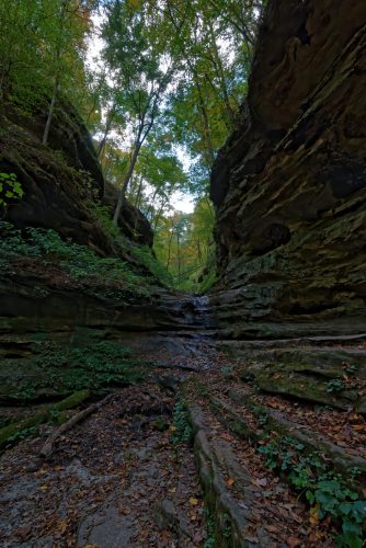 Z5E_0094-NEF_DxO_DeepPRIME_Nik-DeNoiseAI-standard_Nik_DxO