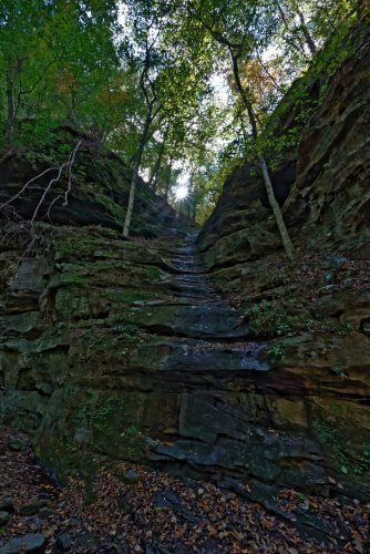 Z5E_0117-NEF_DxO_DeepPRIME_Nik-DeNoiseAI-standard_Nik_DxO