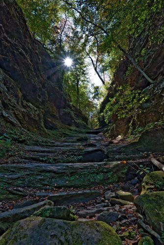 Z5E_0120-NEF_DxO_DeepPRIME_Nik-DeNoiseAI-standard_Nik_DxO