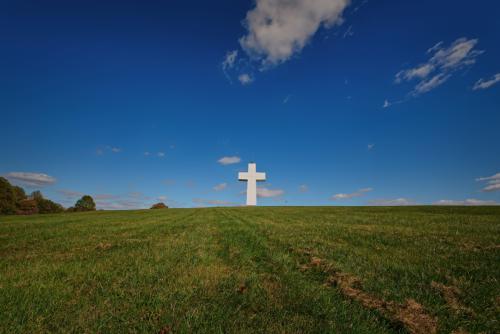 Z5E_0153-NEF_DxO_DeepPRIME_Nik-DeNoiseAI-standard_Nik_Nik_DxO