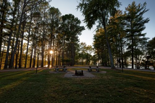 Z5E_0159-NEF_DxO_DeepPRIME_Nik-DeNoiseAI-standard_Nik_DxO