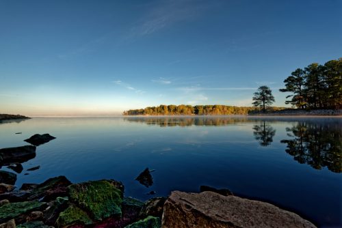 Z5E_0184-NEF_DxO_DeepPRIME_Nik_Nik_Nik_DxO_DxO_DxO_DxO