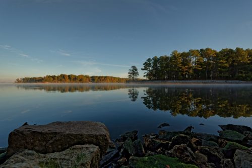 Z5E_0185-NEF_DxO_DeepPRIME_Nik-DeNoiseAI-standard_Nik_DxO