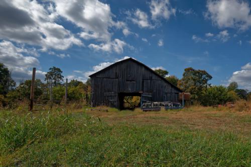 Z5E_0225-NEF_DxO_DeepPRIME_Nik-DeNoiseAI-standard_Nik_DxO