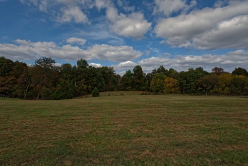 Z5E_0228-NEF_DxO_DeepPRIME_Nik-DeNoiseAI-standard_Nik_DxO