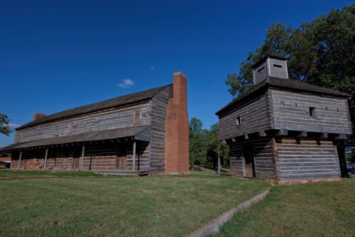 Z5E_0243-NEF_DxO_DeepPRIME_Nik-DeNoiseAI-standard_Nik_DxO