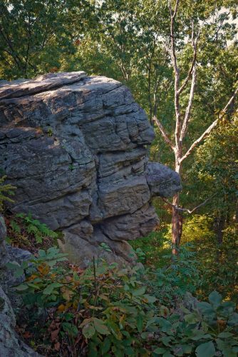 Z5E_0321-NEF_DxO_DeepPRIME_Nik-DeNoiseAI-standard_Nik_Nik_DxO-1