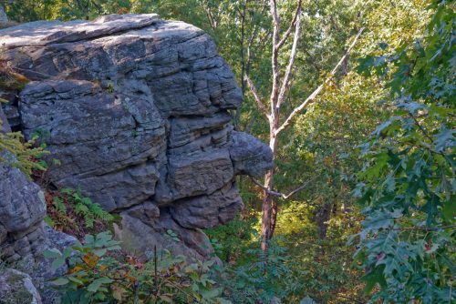 Z5E_0322-NEF_DxO_DeepPRIME_Nik-DeNoiseAI-standard_Nik_DxO-1