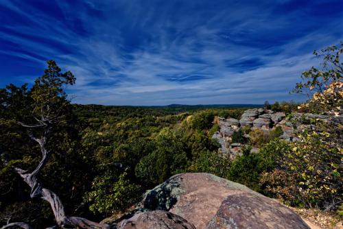Z5E_0357-NEF_DxO_DeepPRIME_Nik-DeNoiseAI-standard_Nik_Nik_DxO-1