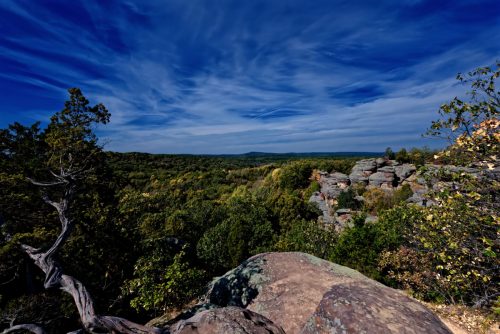 Z5E_0357-NEF_DxO_DeepPRIME_Nik-DeNoiseAI-standard_Nik_Nik_DxO-1