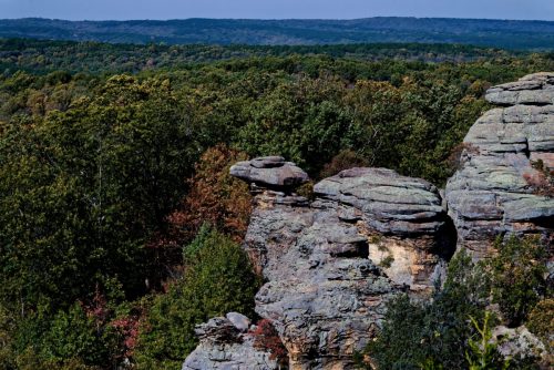 Z5E_0358-NEF_DxO_DeepPRIME_Nik-DeNoiseAI-standard_Nik_DxO-1