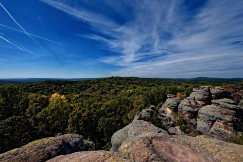 Z5E_0368-NEF_DxO_DeepPRIME_Nik-DeNoiseAI-standard_Nik_DxO-1