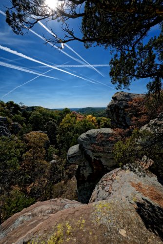 Z5E_0381-NEF_DxO_DeepPRIME_Nik-DeNoiseAI-standard_Nik_DxO-1