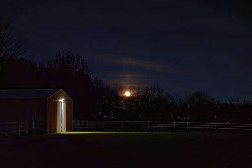 Z5E 0565 Nik-DeNoiseAI-standard Nik DxO