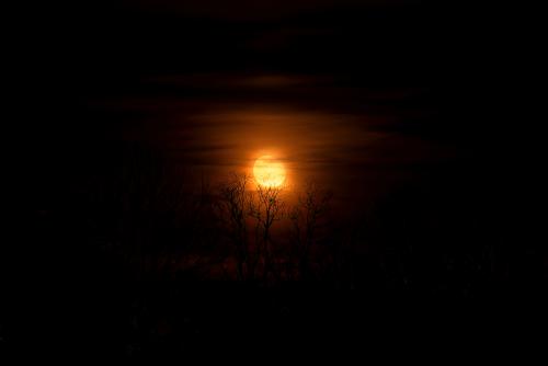Z5E 0579-NEF DxO DeepPRIME Nik-DeNoiseAI-low-light Nik DxO