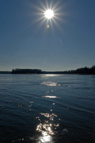 Z5E_0826-NEF_DxO_DeepPRIME_Nik-DeNoiseAI-standard_Nik_DxO