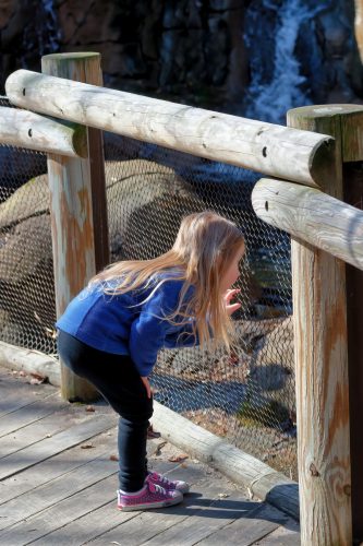 Z5E_1364-NEF_DxO_DeepPRIME_Nik-DeNoiseAI-clear_Nik_DxO