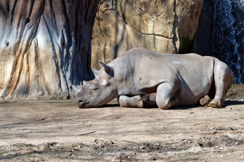 Z5E_1369-NEF_DxO_DeepPRIME_Nik-DeNoiseAI-standard_Nik_DxO