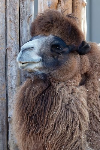 Z5E_1554-NEF_DxO_DeepPRIME_Nik-DeNoiseAI-standard_Nik_DxO-1