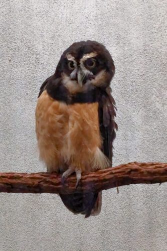 Z5E_1562_Nik-DeNoiseAI-standard_Nik_DxO