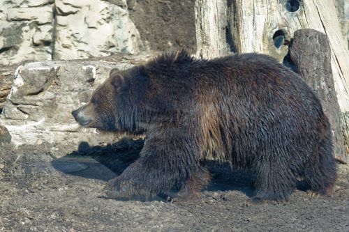 Z5E_1603-NEF_DxO_DeepPRIME_Nik-DeNoiseAI-standard_Nik_DxO