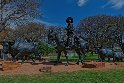 Z5E_1767-NEF_DxO_DeepPRIME_Nik-DeNoiseAI-standard_Nik_DxO