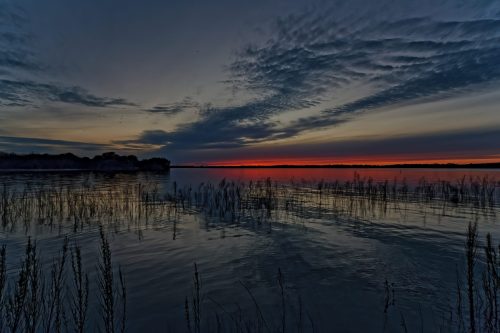 Z5E_1880-NEF_DxO_DeepPRIME_Nik-DeNoiseAI-standard_Nik_DxO