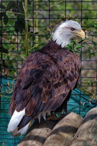 Z5E_1891-NEF_DxO_DeepPRIME_Nik-DeNoiseAI-standard_Nik_DxO