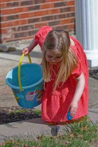 Z5E_2023_Nik-DeNoiseAI-standard_Nik_DxO